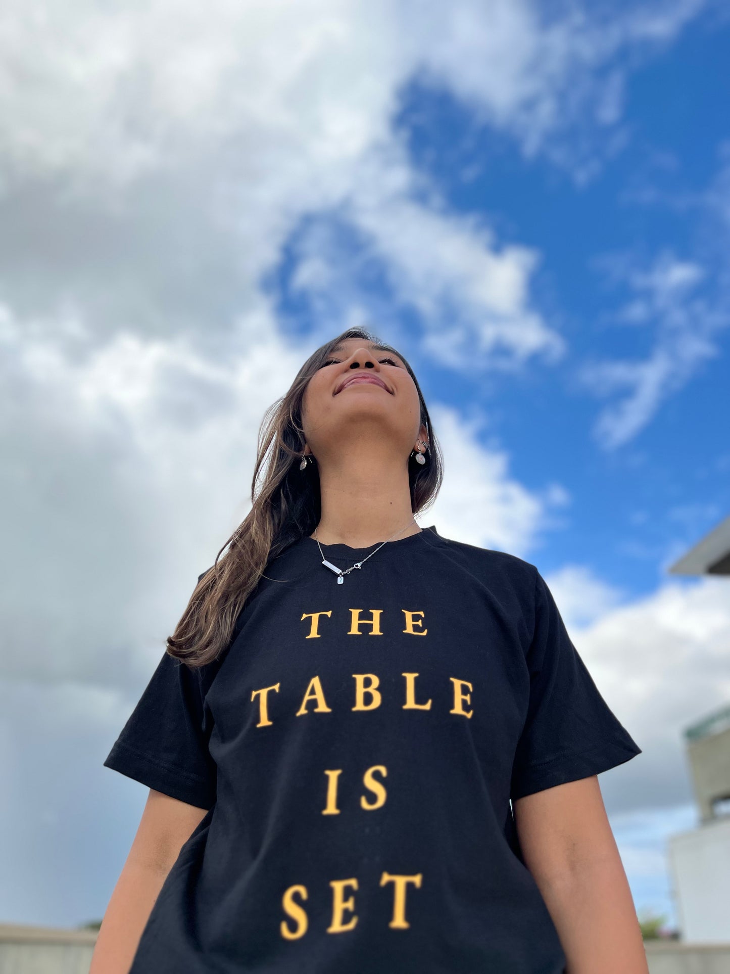 Table Is Set Tshirt
